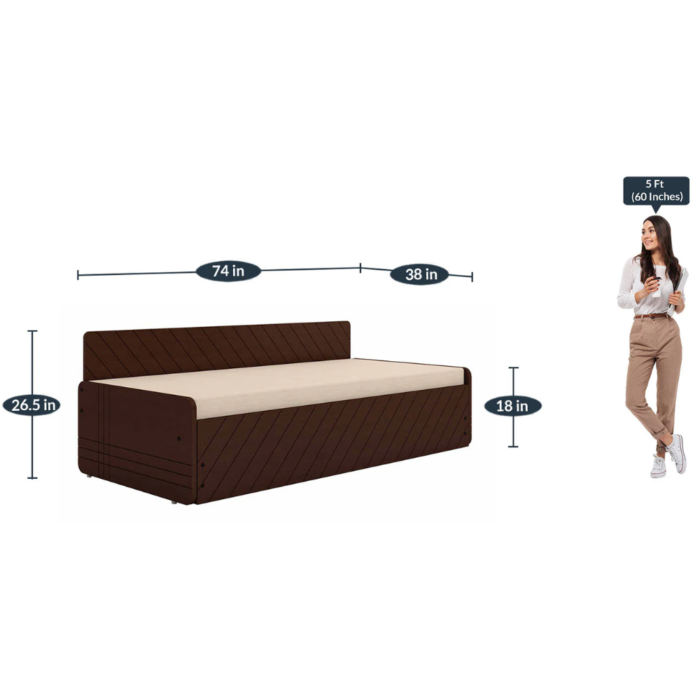 Pull-Out Sofa Cum Bed in Cream & Brown Finish With Box Storage - Image 3