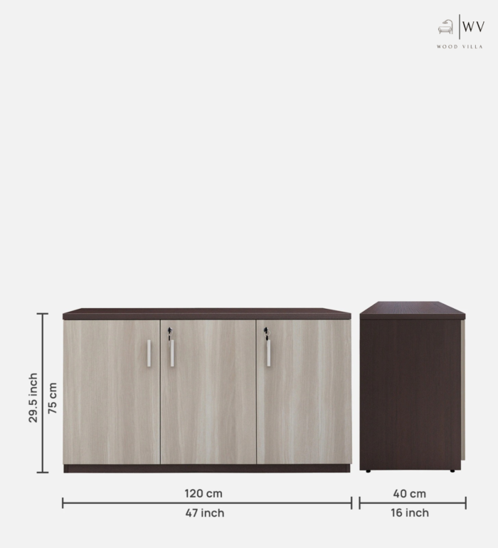 Alston File Cabinet in Balliness Pine & Cloud Ash Finish - Image 2